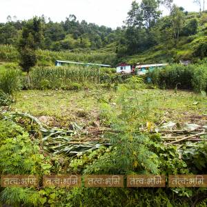 1 Ropani Land On Sale at Okharpauwa, Nuwakot