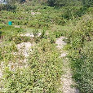 16 Aana land sale on tarevir