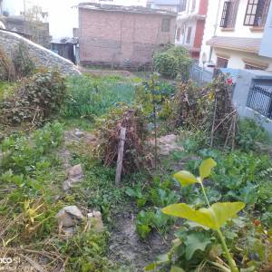 2.5 Aana land sale on nepaltar futung