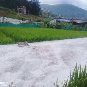 3 Aana land sale on futung Kathmandu