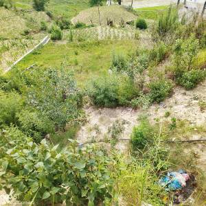 3 Aana land sale on goldhunga