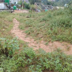 3 Aana land sale on Kathmandu ramkot bhimdhunga
