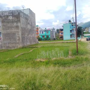 3.5 Aana land sale on barmhakhel kageshwori manohara