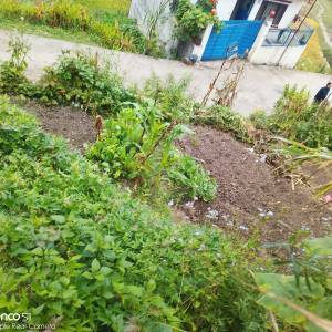 3.5 Aana land sale on Kathmandu goldhunga