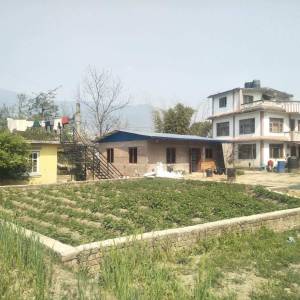 4 aana Jagga bikrima