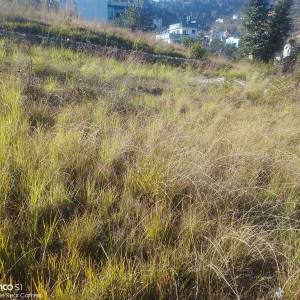 4 Aana land sale on Kathmandu ramkot sitapaila