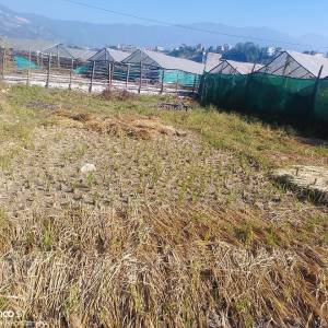 4 Aana land saleon futung Kathmandu