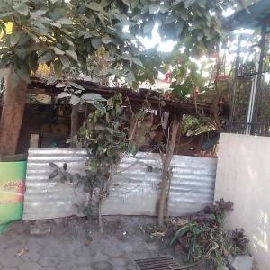 beautifull land sale at maharajgunj chakrapath (shankhapark)
