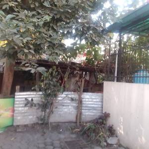 beautifull land sale at maharajgunj chakrapath