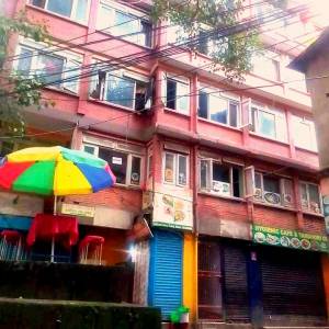 Commercial Building Sale At Thamel(Pipalbot)