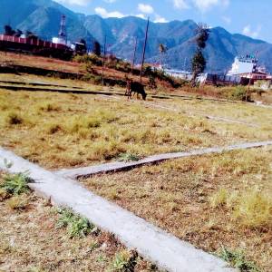 LAND