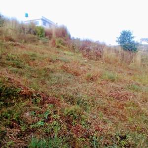 Land at kaversthali