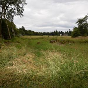 Land On Sale ( best priced )