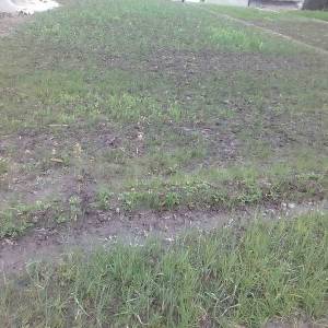 land sale in Budanilkantha hatigauda Chandeswori..