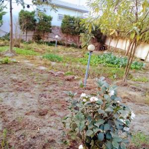 land sale in kathmandu thulo bharenga namgela..