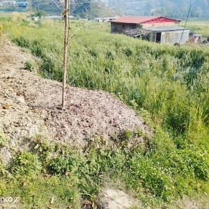 Land sale on indreni