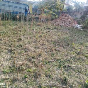 Land sale on sundarbasti