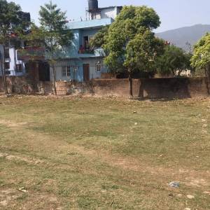 Mileko 4 patee jagga bikri ma